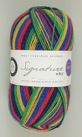 WYS - Signature 4 Ply - Winwick Mum Collection - 874 Seascape
